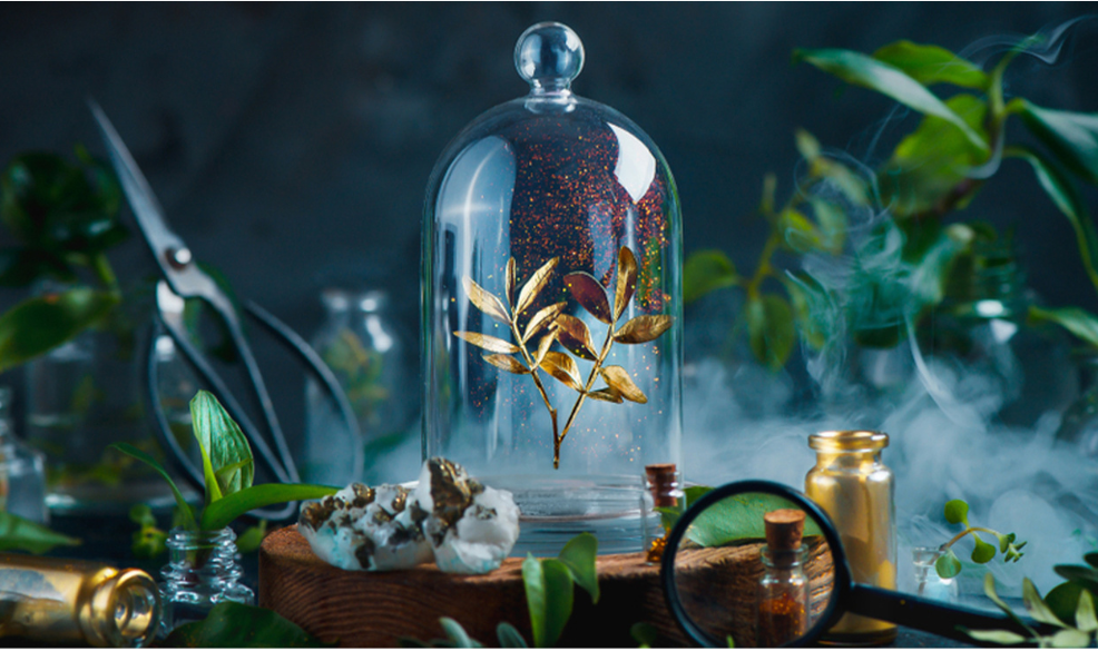 The Power of Petals: Unravelling the Science of Floral Happiness