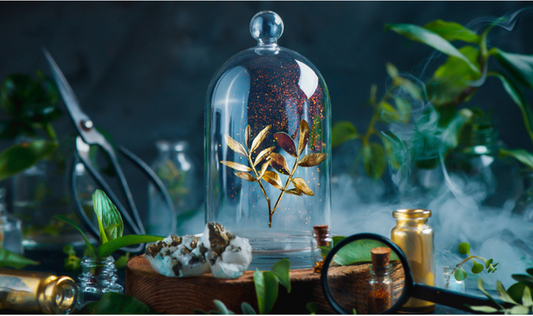 The Power of Petals: Unravelling the Science of Floral Happiness