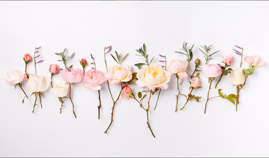 Summer Is Here- Our Favorite Flowers That Bloom During The Sunny Season