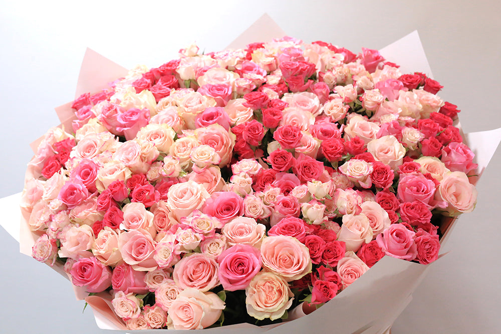 Majestic Rose