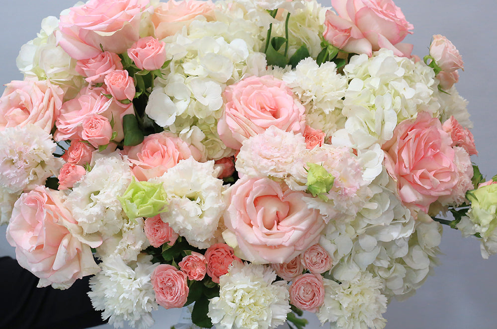 Blush