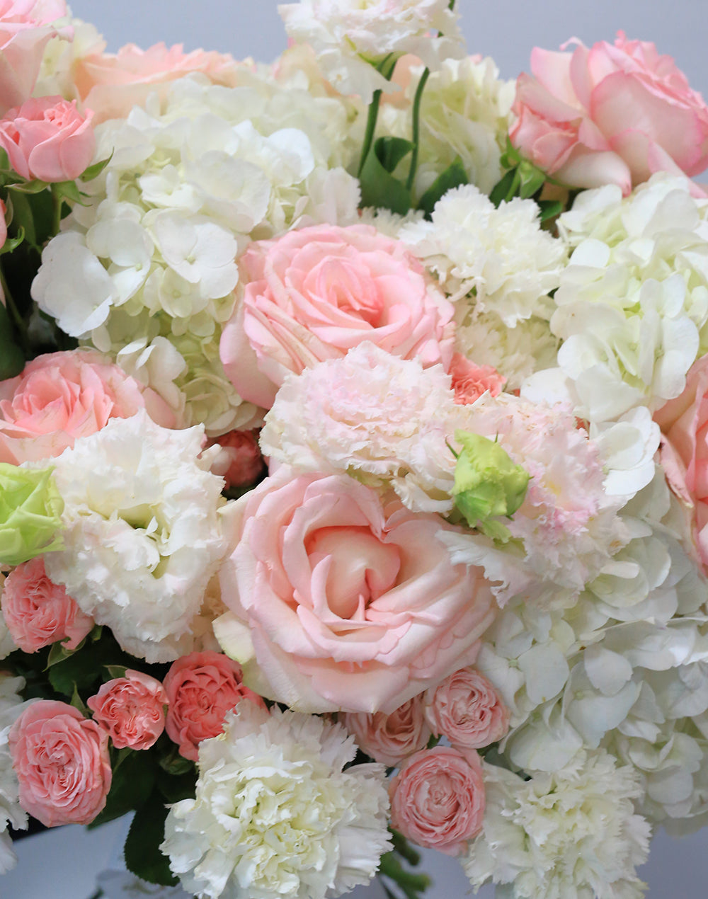 Blush