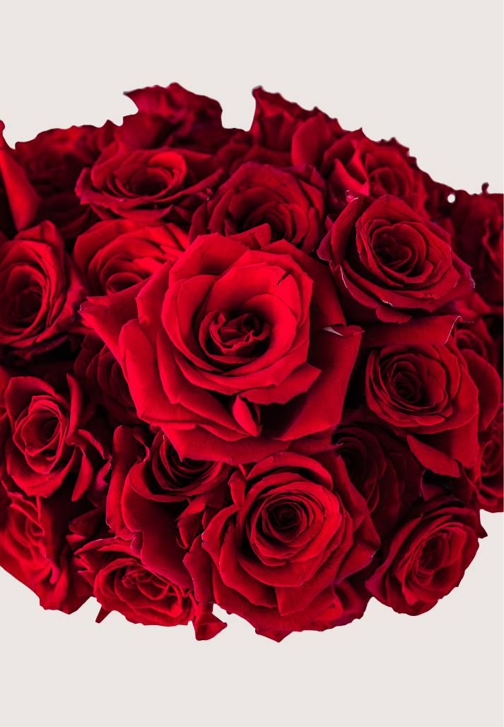 Sweet Roses