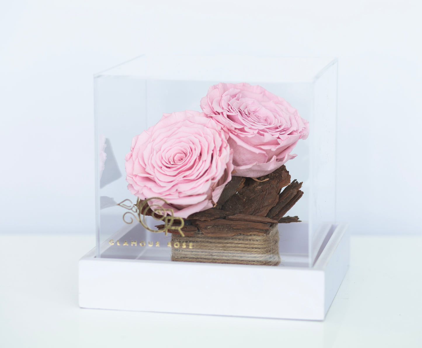 Pink Infinity Roses