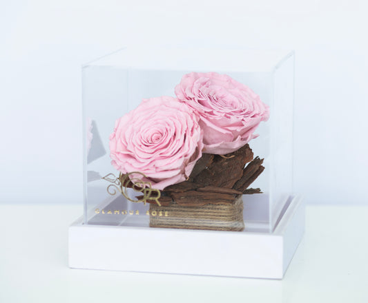 Pink Infinity Roses