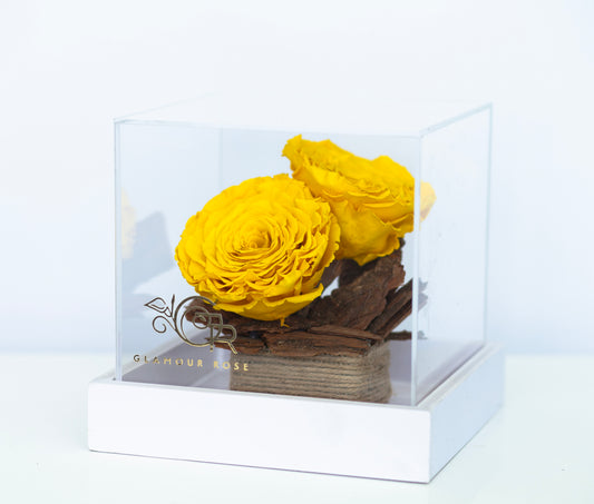 Yellow Infinity Roses