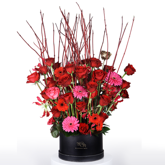 I Have Been Searching for You - Glamour Rose