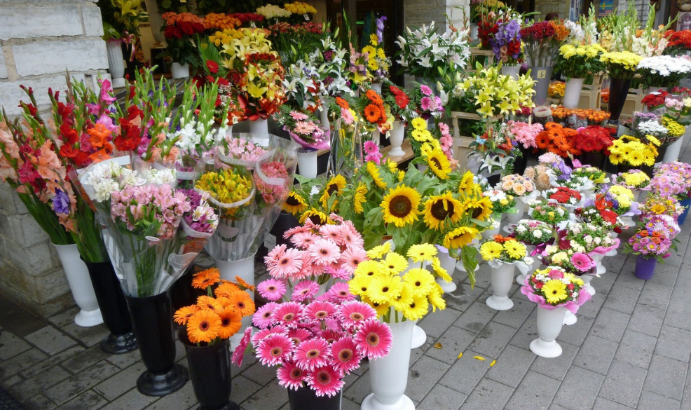 Buy Majestic Summer Flowers to Bring Your Environment Come Alive