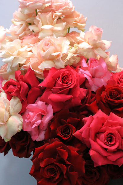 Serenade of Petals