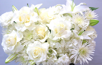 Blooming Bliss