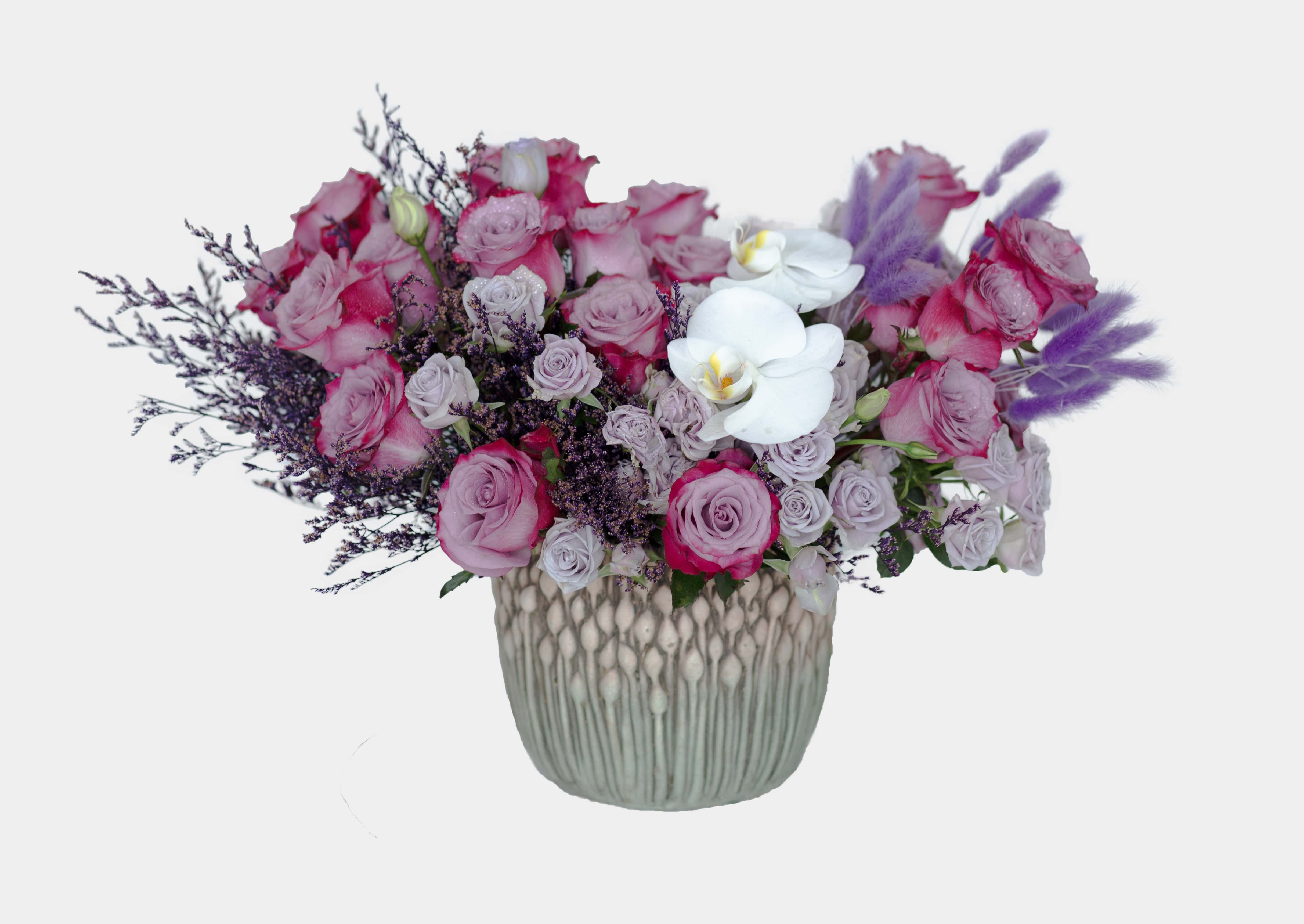 Limonium Purple Flowers