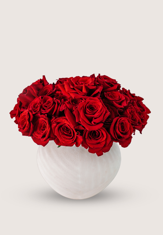 Bouquet of red roses in a white vase on a light gray background