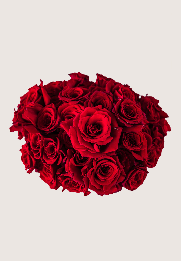 Sweet Roses