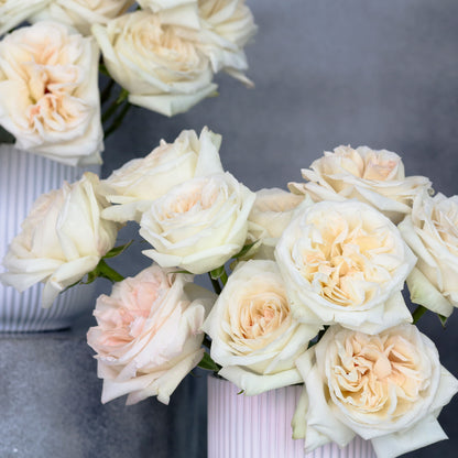 A Set Of Scented Roses