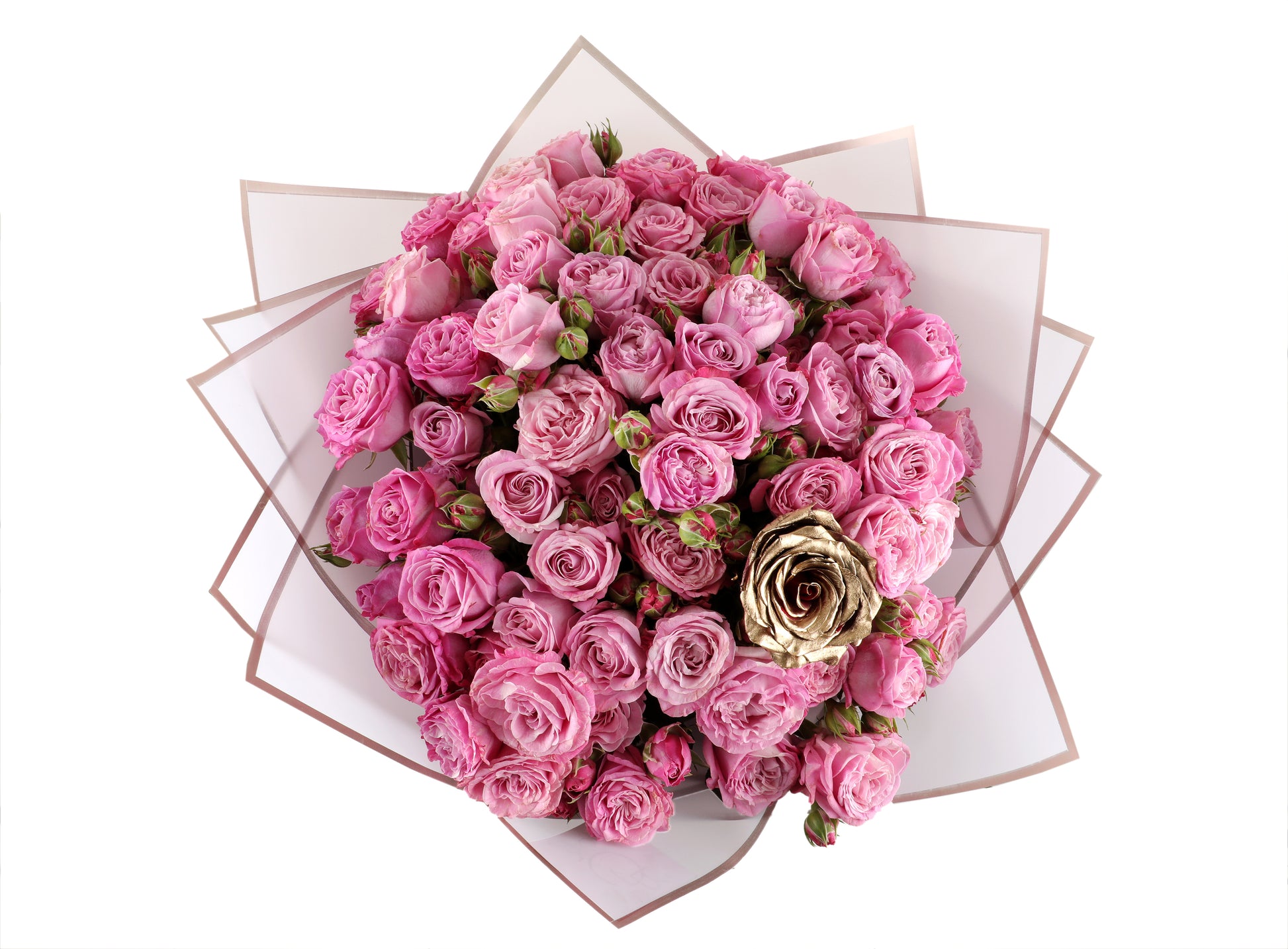 Mother's love is…Exuberant - Glamour Rose